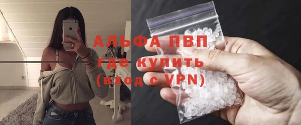 хмурый Арсеньев