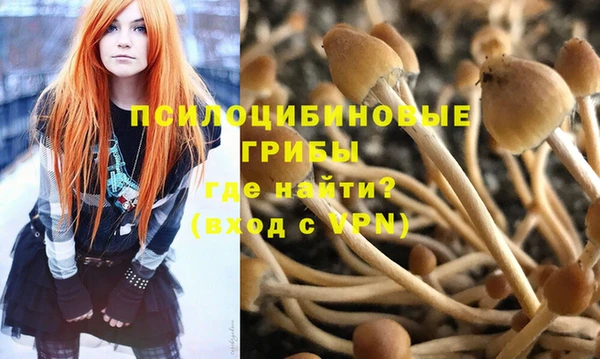apvp Аркадак