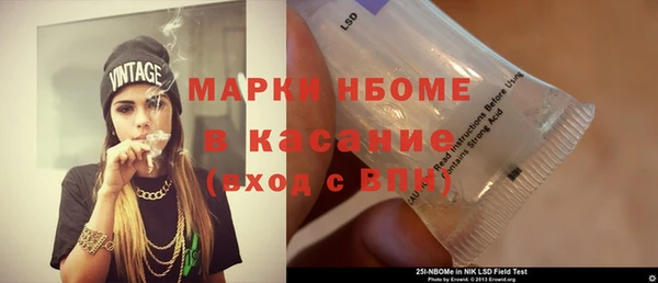 хмурый Арсеньев