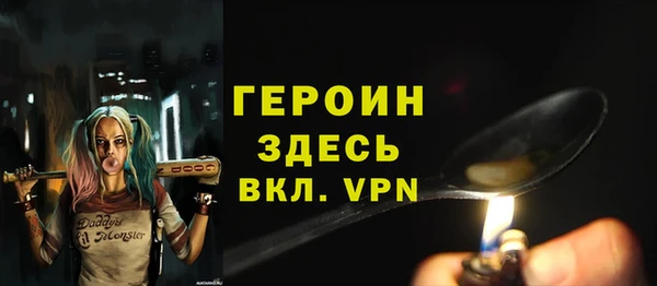 хмурый Арсеньев