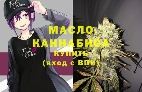 хмурый Арсеньев