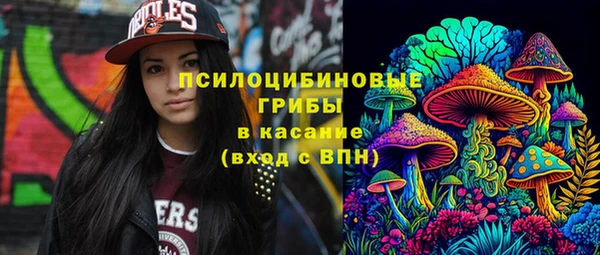 apvp Аркадак