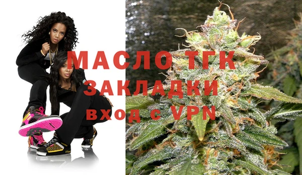 хмурый Арсеньев