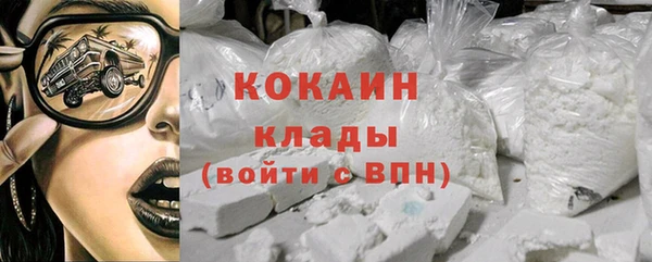 хмурый Арсеньев