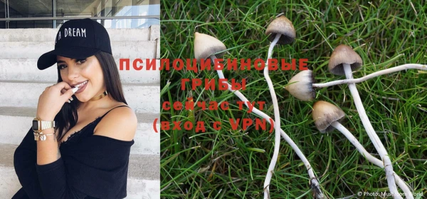 каннабис Армянск