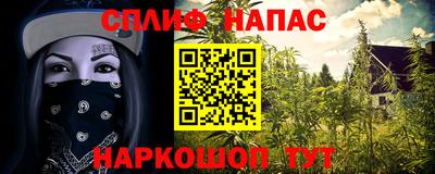 крисы Апшеронск