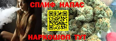 крисы Апшеронск