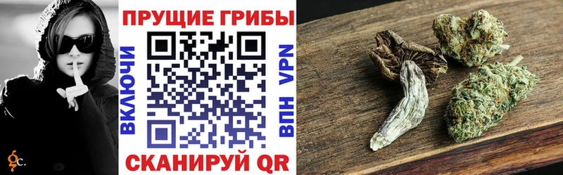 Псилоцибиновые грибы прущие грибы  Асбест 